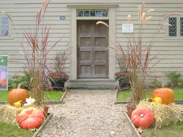 herb garden